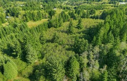George Hill Rd, Astoria, OR 97103