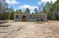 12831 NE 10th St, Williston, FL 32696