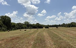 Wallace Mill Rd, Leighton, AL 35646