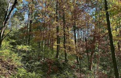 W Bland Drive, West Terre Haute, IN 47885