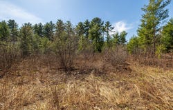 Prairie Road E, Osseo, WI 54758