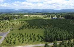 Serenity Ln, Mena, AR 71953