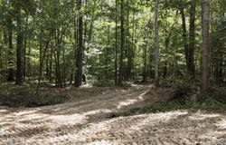 Johns Shiloh Road, Brandon, MS 39042