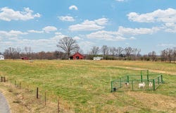Walling, TN 38587