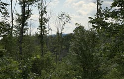 01 Center Hill Road, Weld, ME 04285
