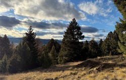 Lot 3 Scranton Lode, Philipsburg, MT 59858