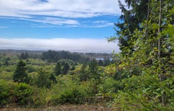Necarney, RockawayBeach, OR 97136