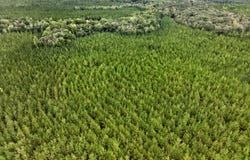 SW Black Creek Road, Gordon, GA 31031