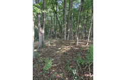 16 Shinkles Ridge, Georgetown, OH 45121