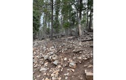 Sugar Pine Dr lot: 16, Cloudcroft, NM 88317-0544