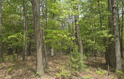 VL N Ridge Road, Mears, MI 49436