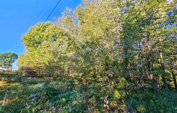 Frankstown Road & Gauntner Street, Johnstown, PA 15902