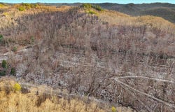 Nada Tunnel Rd, Stanton, KY 40380