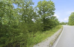 Beechwood Drive lot: 139, Branson West, MO 65737