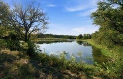 TBD Lot 4 Ranchero St, Bertram, TX 78605