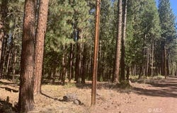 Edgewater Way lot: 84, Adin, CA 96006