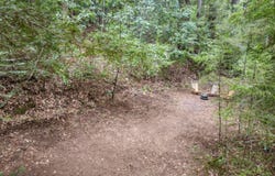 1365 Caledonia AVE, Ben Lomond, CA 95005