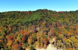 800 Moats Hollow Rd, Waverly, OH 45613