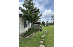 251 County Road 732, Bryant, AL 35958