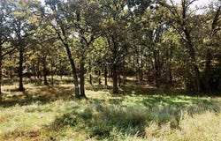 10240 County Road 3060, Rolla, MO 65401