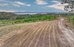 Cool Branch Road, Georgetown, GA 39854