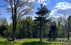 1.10 Curtiss Rd, Camden NY, NY 13316