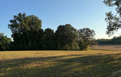 2380 WATKINS Dr, Williston, TN 38076