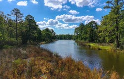 McGowan Road lot: 77, Bath, NC 27808