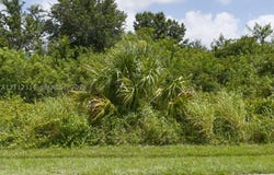 315/317 Becker Rd, Port St Lucie, FL 34953