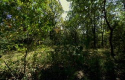 Tract 1&2 Simpson Rd, Urbana, MO 65767