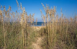 910 E Ocean View AVE, Norfolk, VA 23503
