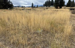 Meadowview Drive lot: 2, Chiloquin, OR 97624