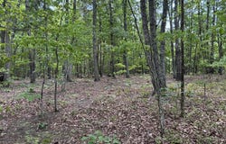 240 Tabor Road, Gladys, VA 24554