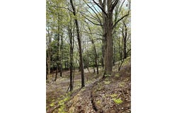 Topping Ave, Pentwater, MI 49449