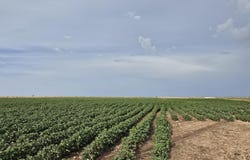 County Road 218, Seminole, TX 79360