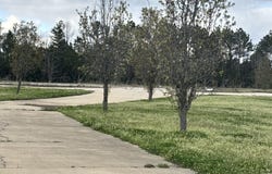 125 Mayfield Dr, West Point, MS 39773