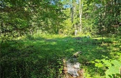 Stables Road, Fenner, NY 13035