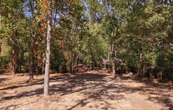 CR 474, Lindale, TX 75771