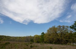370 Hayes Spring Drive, Crane, MO 65633