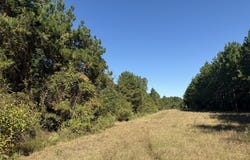 009 Mt Zion Road, Gordon, AL 36343
