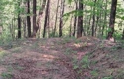 OLD BLUE RIDGE TPKE, SYRIA, VA 22743