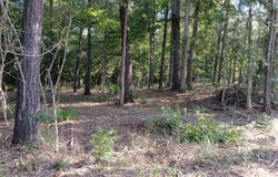 90 Stevens Lane, Many, LA 71449