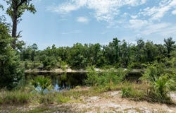 BOEING DR lot: 3, Live Oak, FL 32060