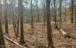 Kates Creek Road, Oden, AR 71961