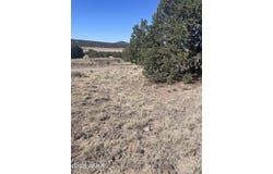 87 Lexington, Concho, AZ 85924