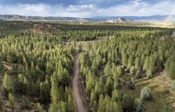 Elk Ridge Estates lot: # 8 Phase 6, Alton, UT 84710