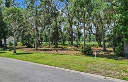 Audubon lot: 13, Waverly, GA 31565