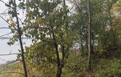 L28.000 Bridge Road, Crown Point, NY 12928