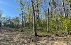 Tract 4 Walker Way, Monroe City, MO 63456