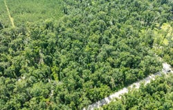 SW DRAGON WAY, Jasper, FL 32052